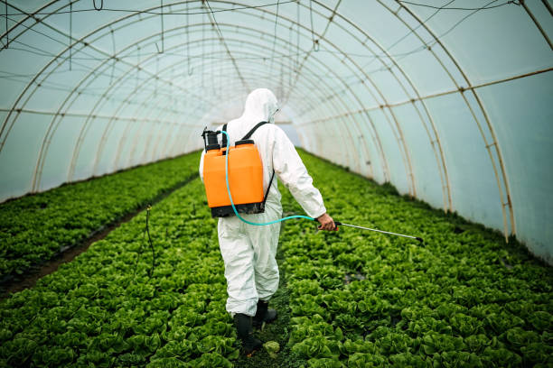 Best Best Pest Control Companies  in Belle Haven, VA