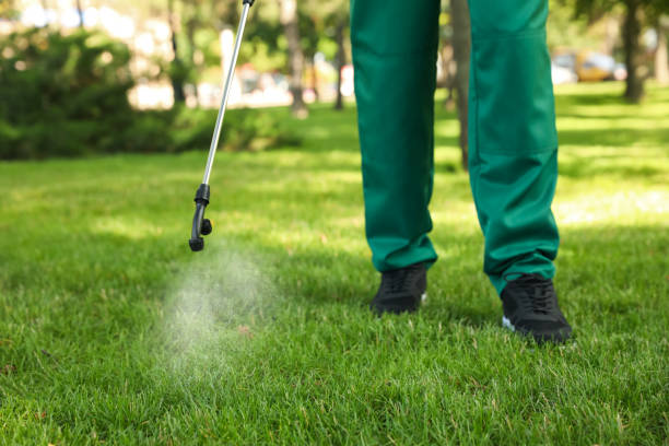 Best Pest Prevention Services  in Belle Haven, VA