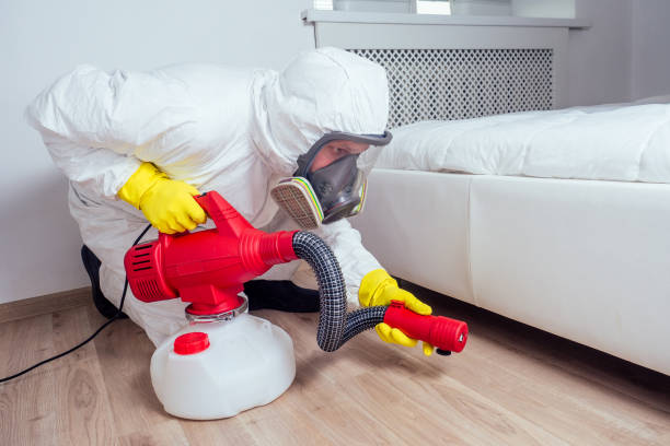 Best Pest Control Near Me  in Belle Haven, VA