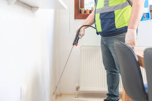 Best Rat Extermination Near Me  in Belle Haven, VA