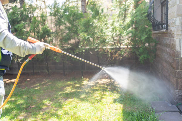 Best Exterminator Services  in Belle Haven, VA