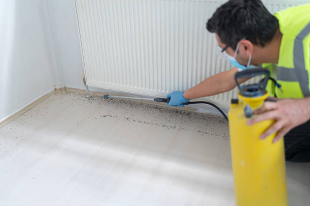 Best Bed Bug Extermination  in Belle Haven, VA