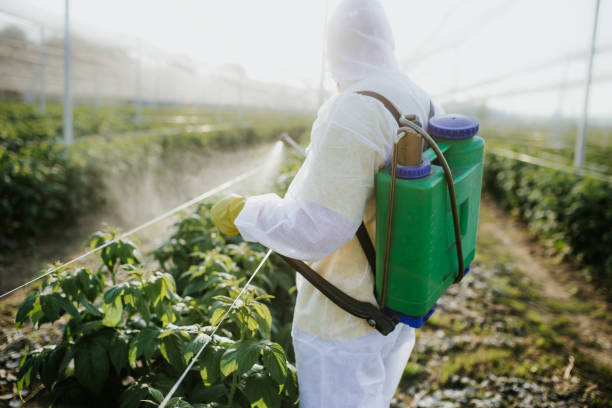 Best Flea Control Services  in Belle Haven, VA
